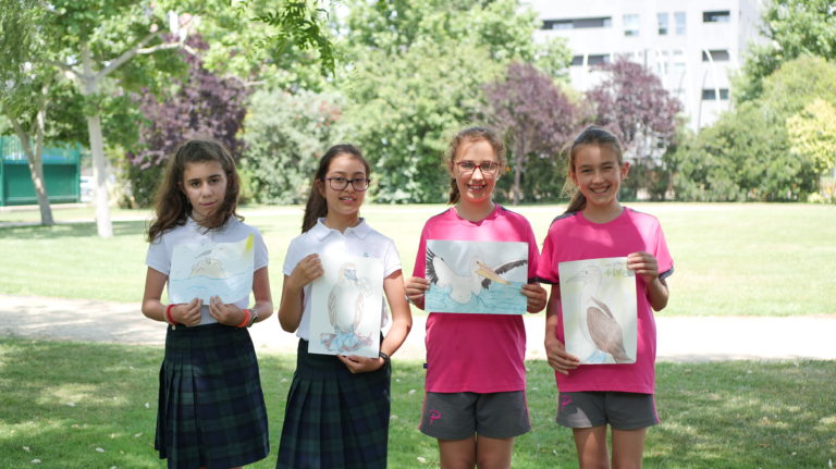 Cuatro alumnas son finalistas del Concurso "I SEABIRD ILUSTRA 2022"